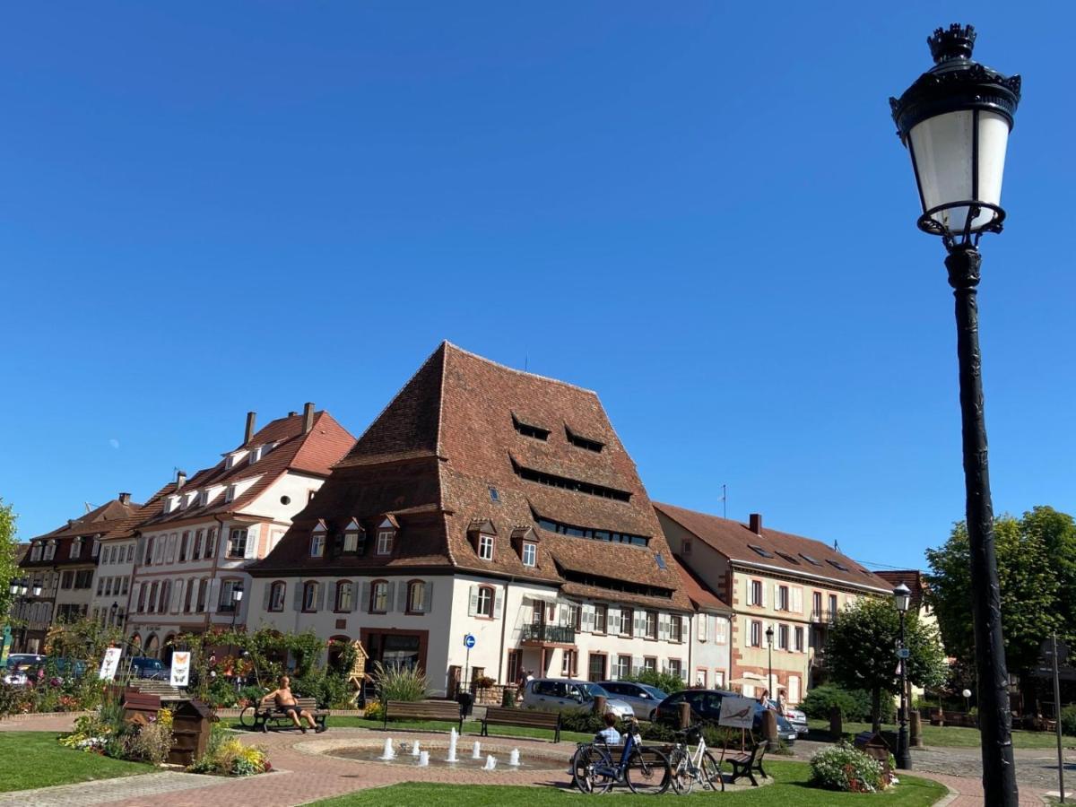 Studio Le Pied De Boeuf Wissembourg Buitenkant foto